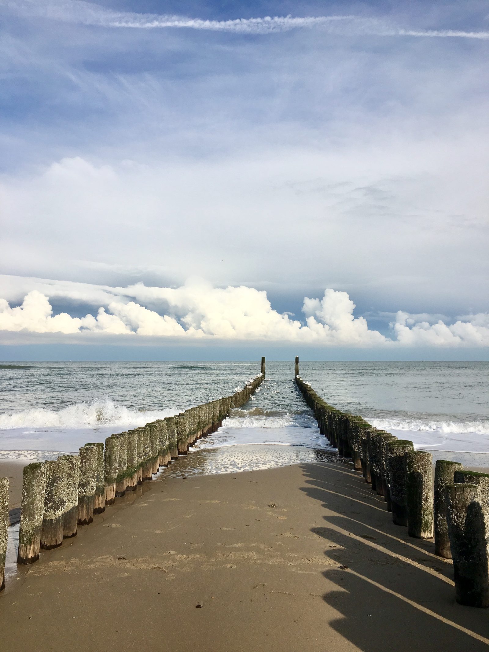 De zee bij Domburg
