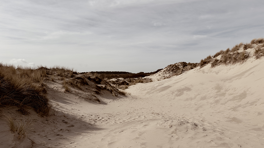 Duinen met helmgras op Walcheren